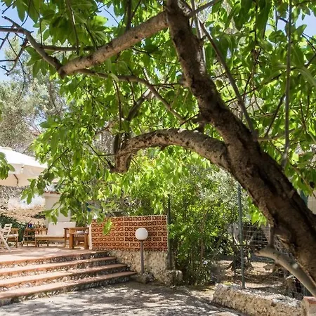 Emma 50 Mt From The Sea With Private Pool * Carini